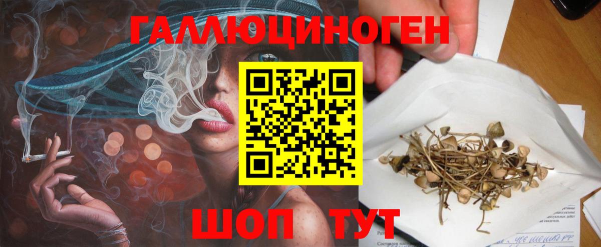 Псилоцибиновые грибы MAGIC MUSHROOMS  Вход с VPN  Павловский Посад 
