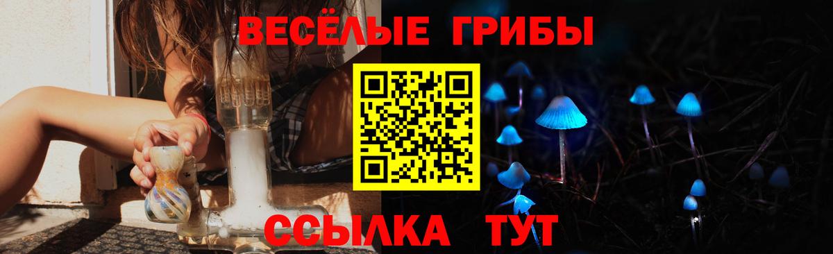 Псилоцибиновые грибы Cubensis Павловский Посад